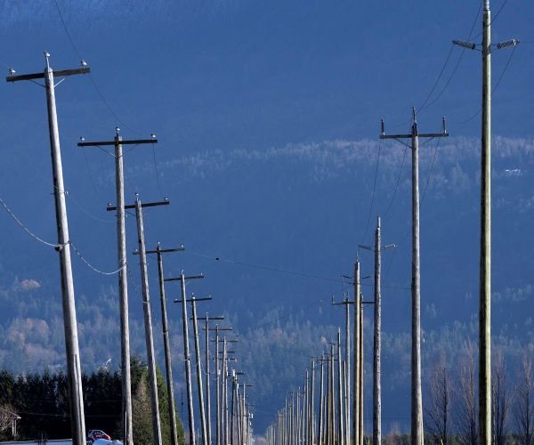 utility poles