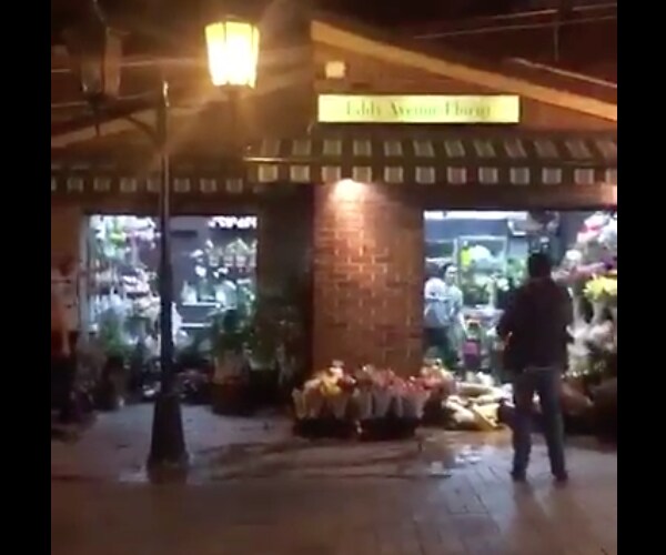 Sydney Station Police Shoot, Kill Man After Altercation