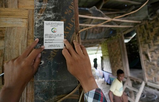 Initial Results of Imprecise Census in Myanmar Show a Slight Population Drop