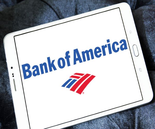 Bank of America: Stable Profits and a Secure Dividend