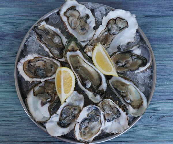 oysters on the half shell with lemon