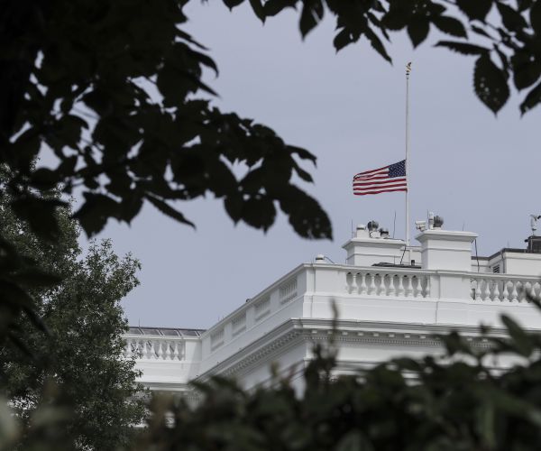 Kayleigh McEnany: 'Left Wing Partisans' Politicizing Tragedies