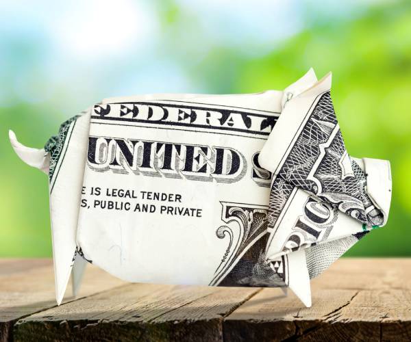 a dollar bill folded to look like a pig