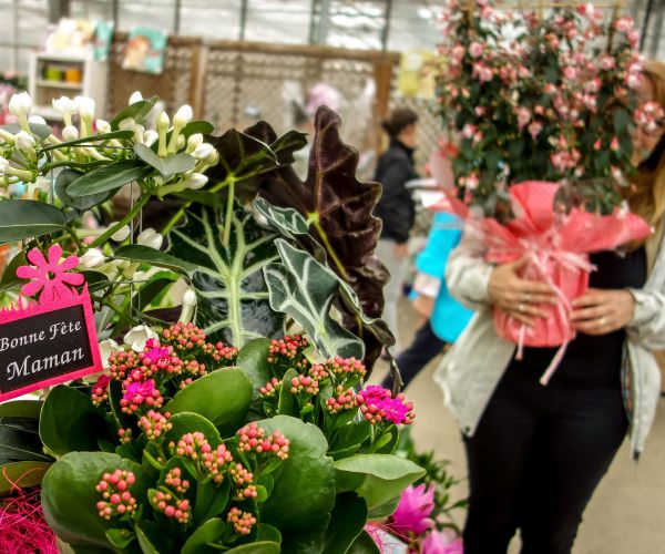 Mother's Day Cyberscams to Watch Out For