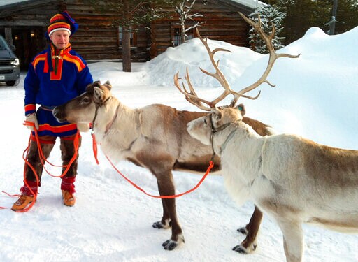 Finnish Conscripts Injured in Attempt to Avoid Reindeer