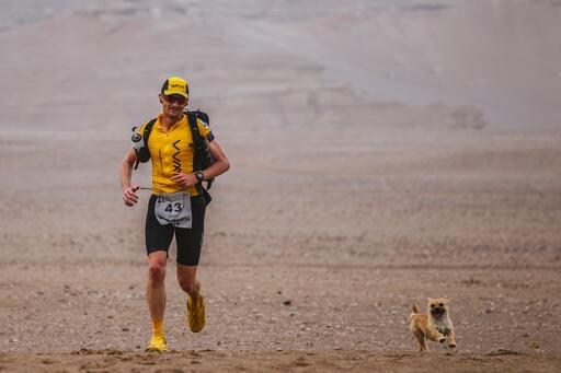 Ultra-marathon Runner Reunited with Missing Stray Dog