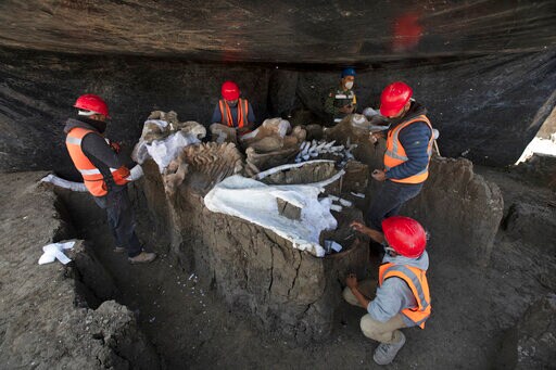 'Mammoth Central' Found at Mexico Airport Construction site