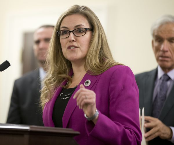 Democrats Test Liberal Messages in Midterm House Elections