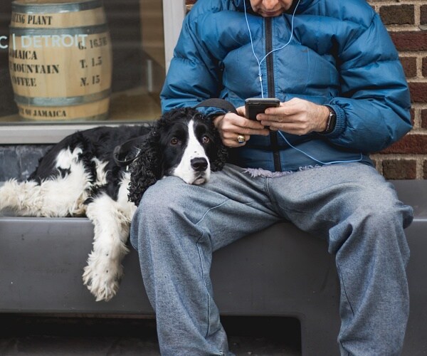dog lays head on owners leg