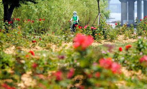South Korea's Infrastructure Boondoggle a Boon for Cyclists