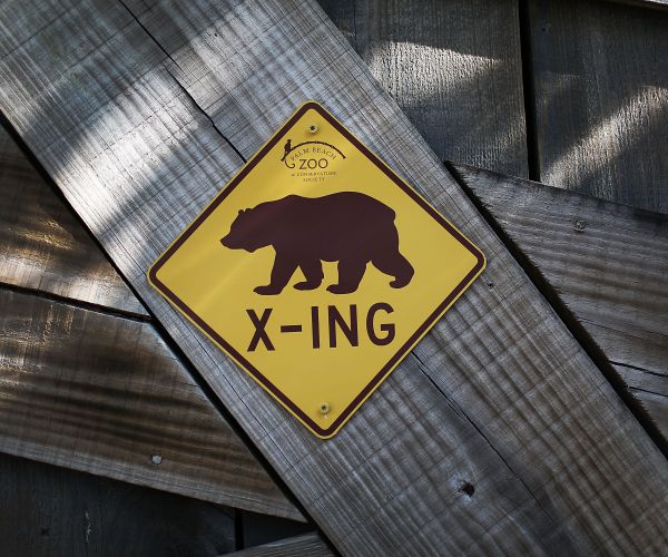 Wrong Bear Euthanized After Sleeping Hiker Surprised With Bite