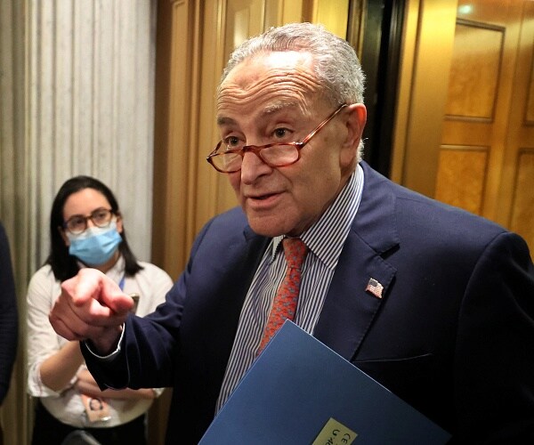 chuck schumer talks to press in hall