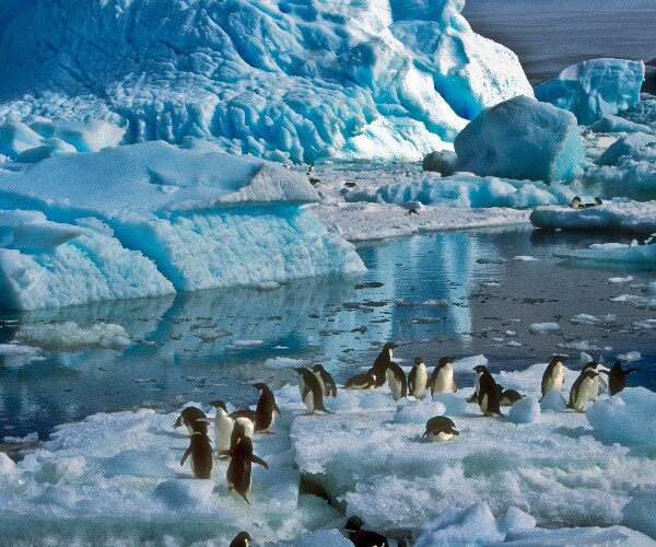 Antarctica Appears to Have Broken a Heat Record