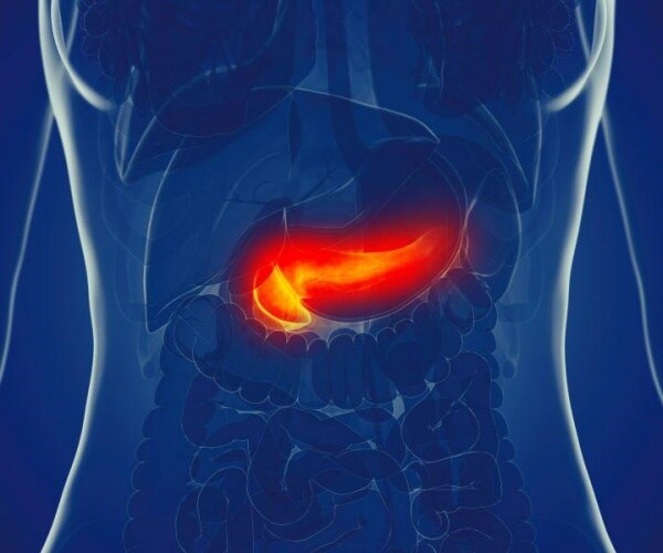 illustration of body with pancreas in red