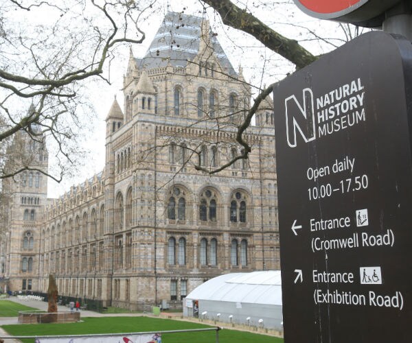 Car Hits Pedestrians Outside London Museum; Some Injured