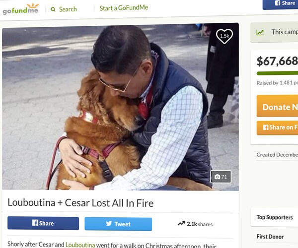 'Hugging Dog' of Instagram Fame, Owner Left Homeless by Fire