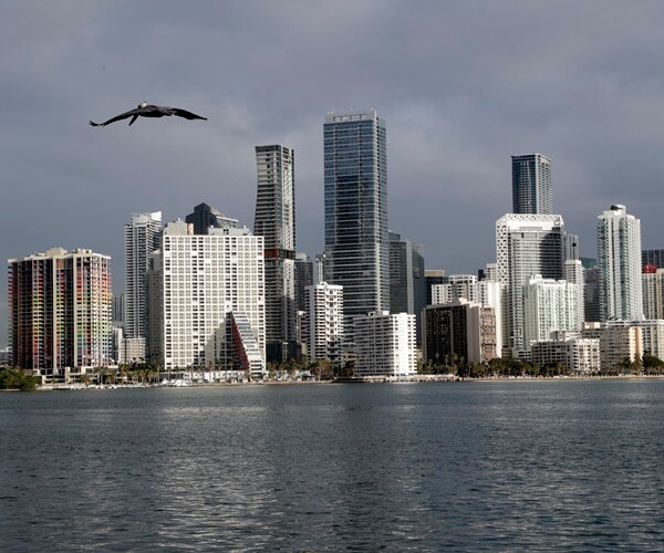 A pelican flies over Biscayne Bay with the skyline of Miami on the horizon