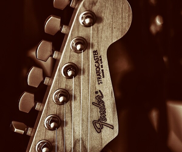 fender stratocaster guitar handle