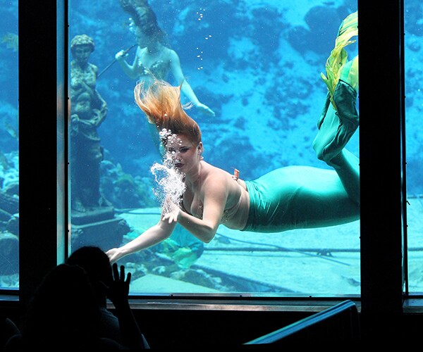 Mermaid Your Dream Job? Auditions Start Soon at Florida Park