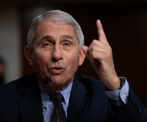 anthony fauci raises his hand