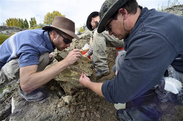 Possible Complete Mammoth Skeleton Found in Idaho