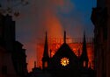Notre Dame to Reopen in December 2024