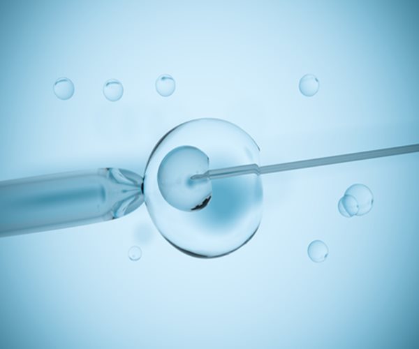 'Mediterranean' Diet May Boost IVF Odds
