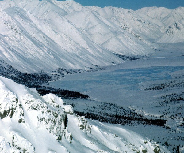 Environmentalists Ask Court to Block Trump's Arctic Oil Auction