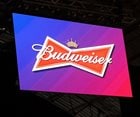 Budweiser Tops Super Bowl Ad Meter