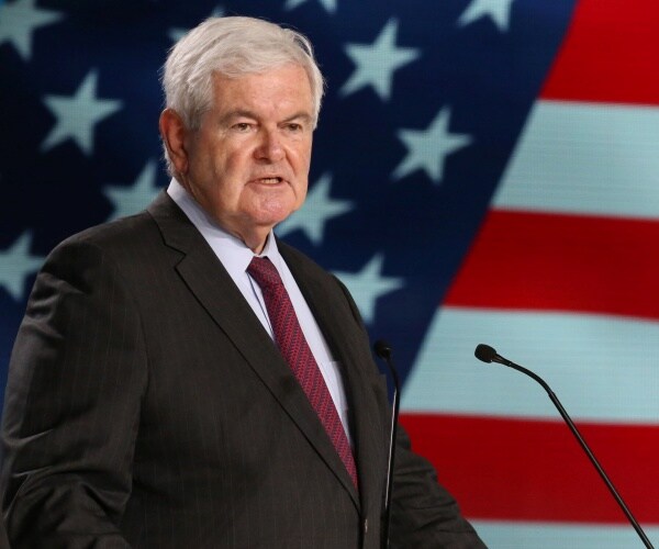 Newt Gingrich speaks into a microphone