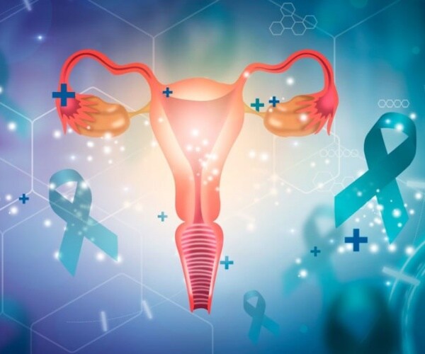 illustration of ovaries, fallopian tubes