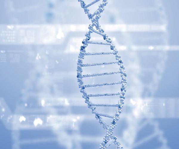 DNA Results May Not Change Health Habits