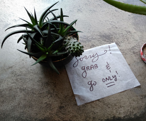 coffee shop grab and go only in rutherford new jersey due to coronavirus outbreak