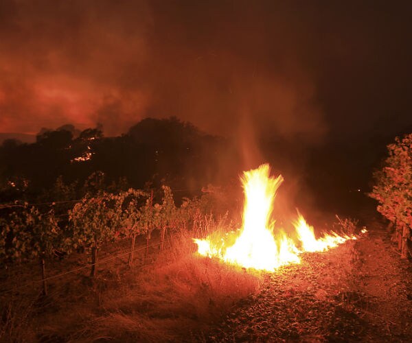 California Wildfires Kill at Least 31 as Wind Continues to Fan Flames