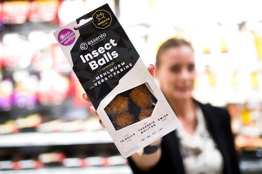 Yuck or Yum? Swiss Offer Insect Burgers of Mealworm Larvae