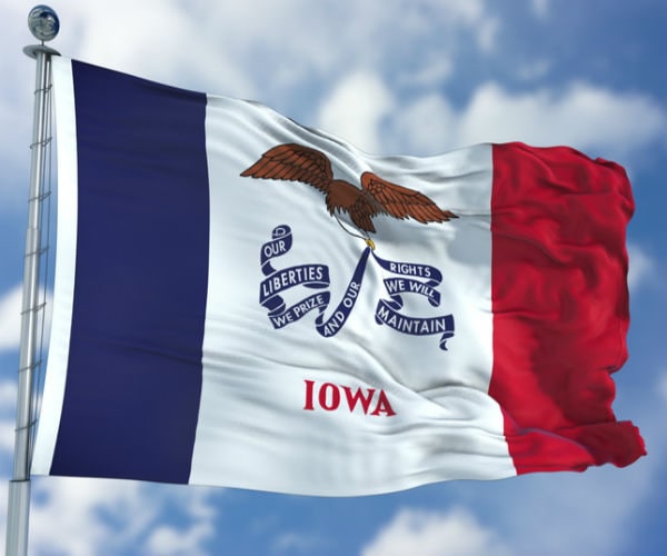 Iowa Primary Election Features Crowded Democratic Races