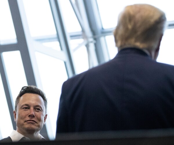 elon musk and donald trump
