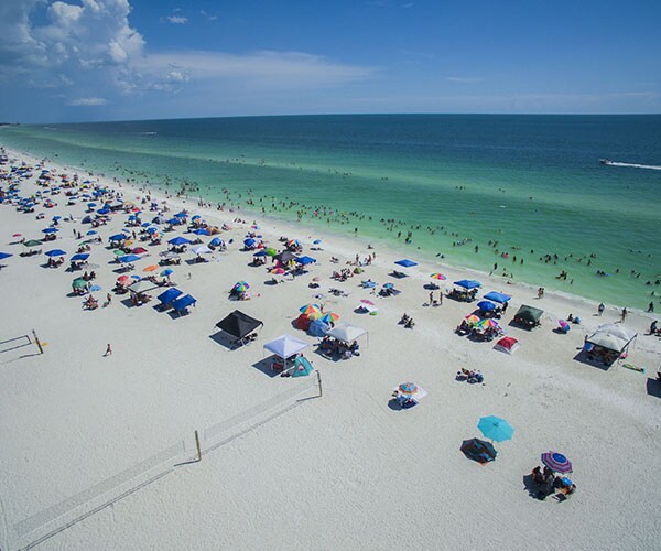 Stinging Sea Lice: Florida Beaches Warn of Annoying Inhabitants