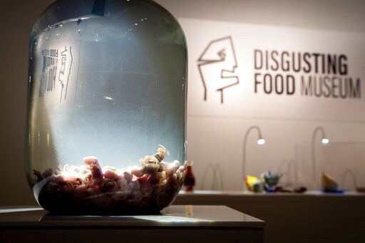 Gag! Rotting Fish, Maggots on Menu at Disgusting Food Museum