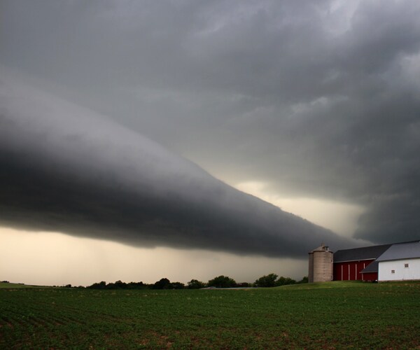 'Roll Cloud' Over Memphis: It's a Bird, It's a Plane, It's a Joint?
