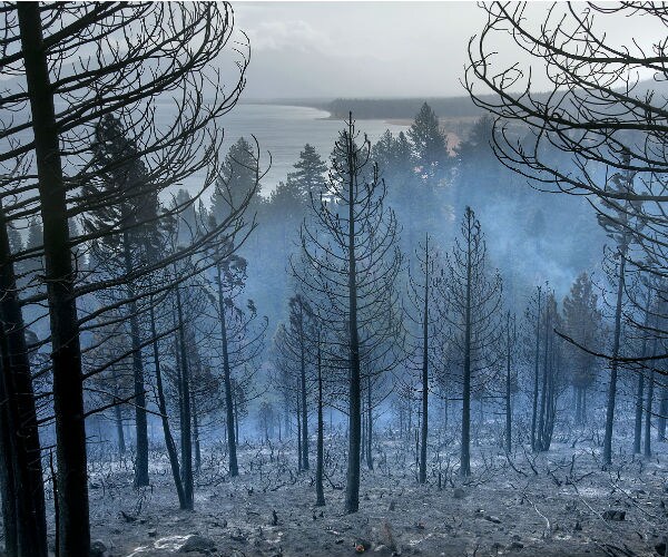 22 Homes Destroyed in Northern Nevada Wildfire