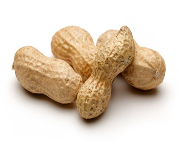 photo of several peanuts