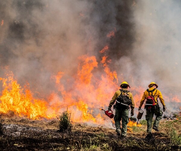 firefighters watch wildfire