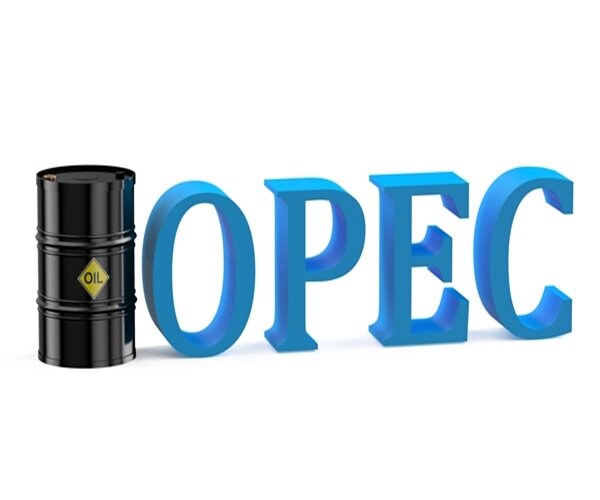 OPEC: Low Oil Price Won't Continue, May Rise Within a Year