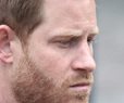 Trump: Prince Harry Could Be Deported for Drugs