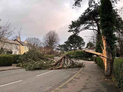 A Fierce Storm Is Lashing Ireland and Scotland with Record Winds, Downing Power Lines