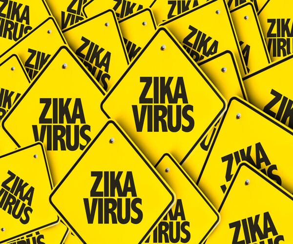Major Zika Outbreak in US Unlikely: Study