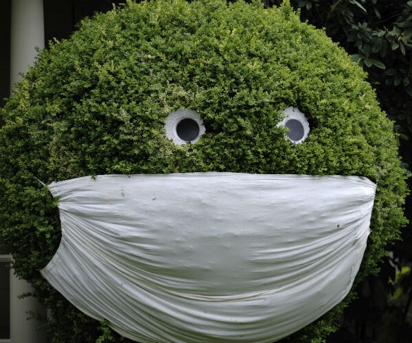 a face mask and eyes are pictured on a bush in the front yard of a home