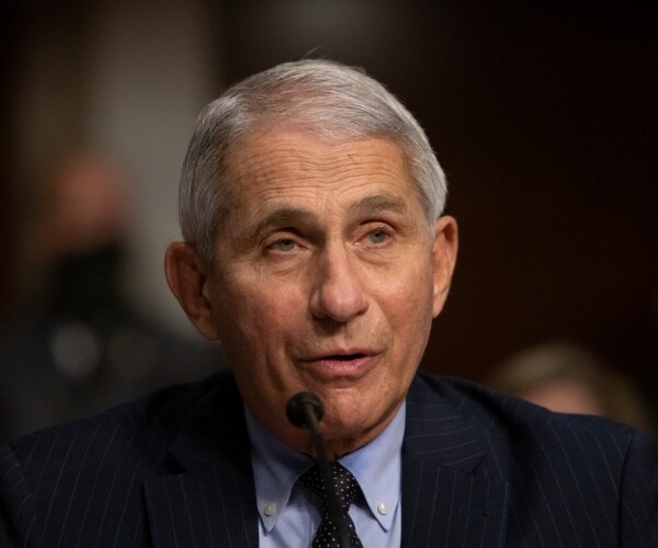 anthony fauci testifies at hearing