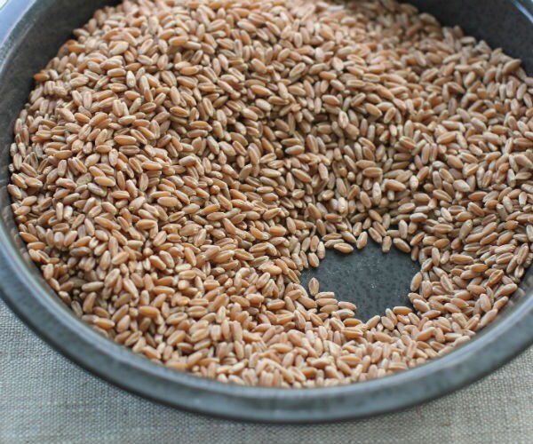 Study: Avoid Type 2 Diabetes by Eating More Whole Grains
